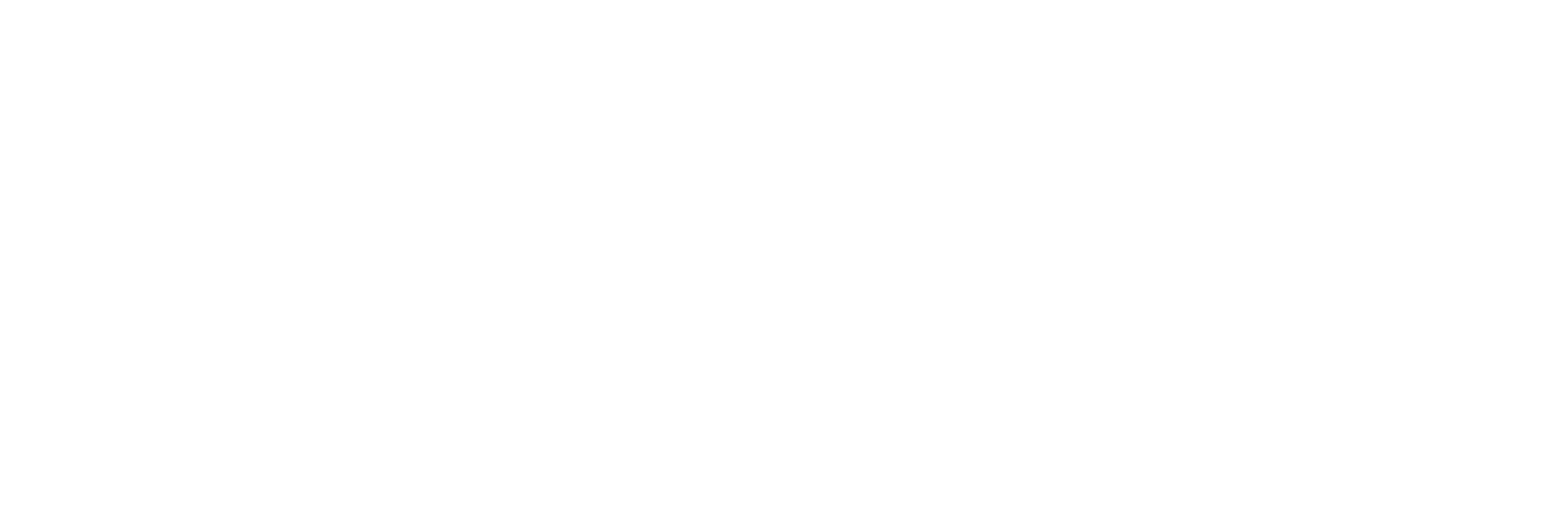 Logo of Claudia Orlando, photographer in Moncton